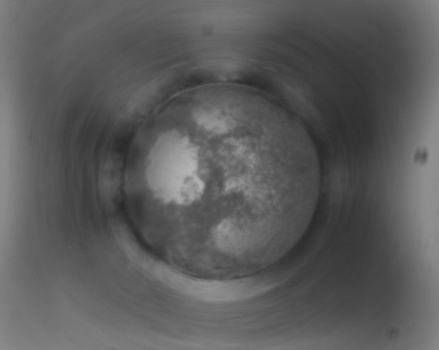 X0000114170030200910151647