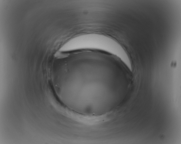 X0000114170031200910151647