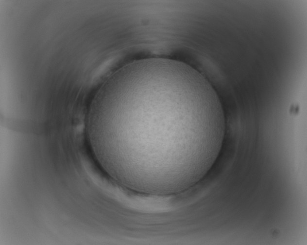 X0000114170032200910151647