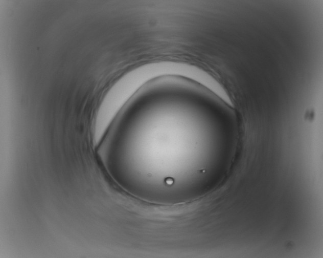 X0000114170033200910151647