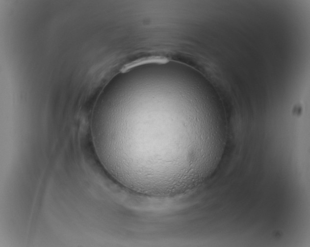 X0000114170037200910151647