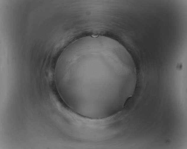 X0000114170039200910151647