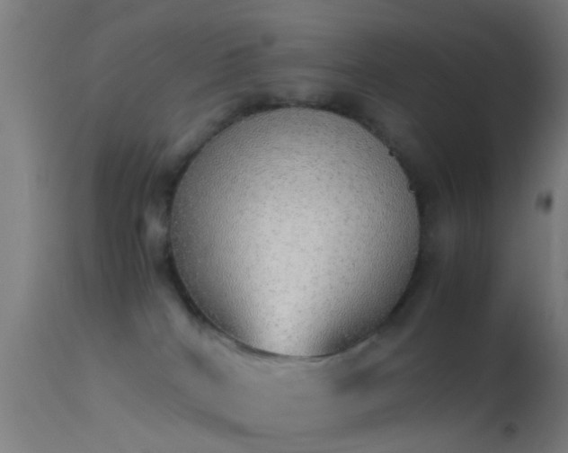 X0000114170040200910151647