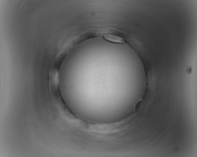 X0000114170041200910151647