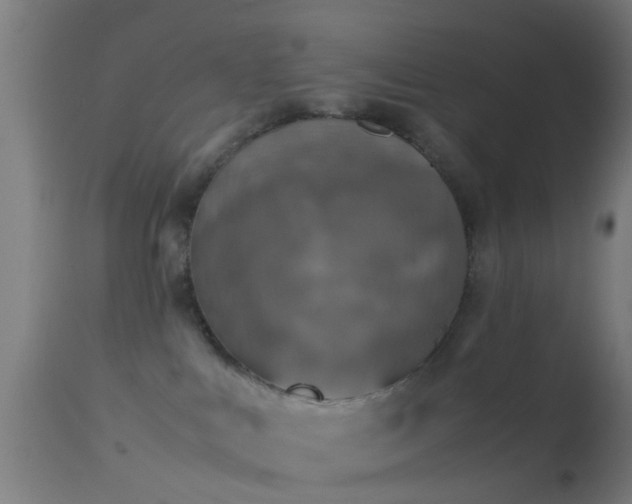 X0000114170043200910151647