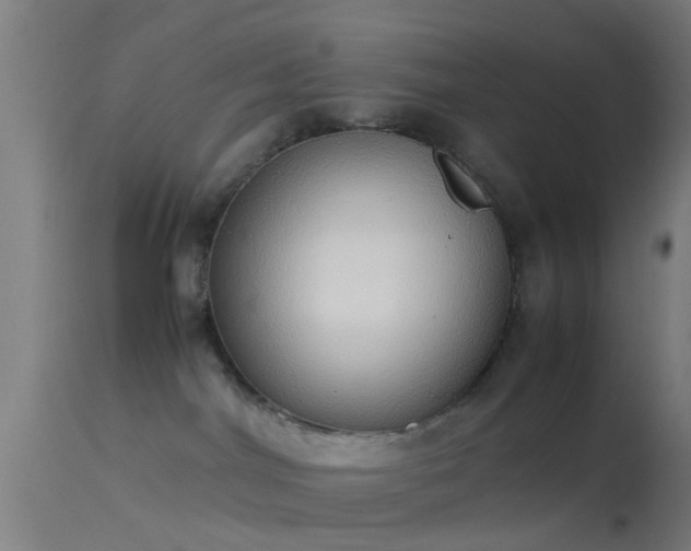 X0000114170044200910151647