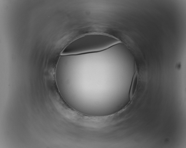 X0000114170045200910151647