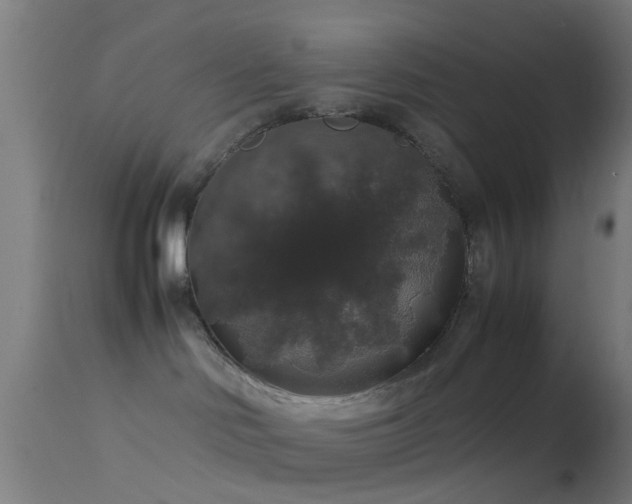 X0000114170046200910151647