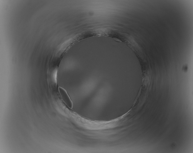 X0000114170047200910151647