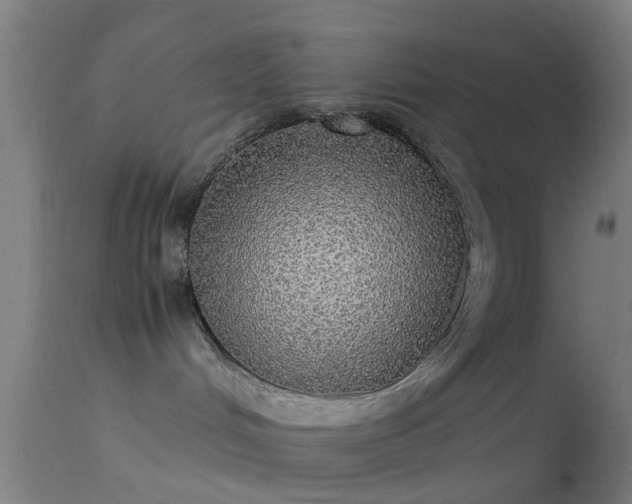 X0000114170048200910151647