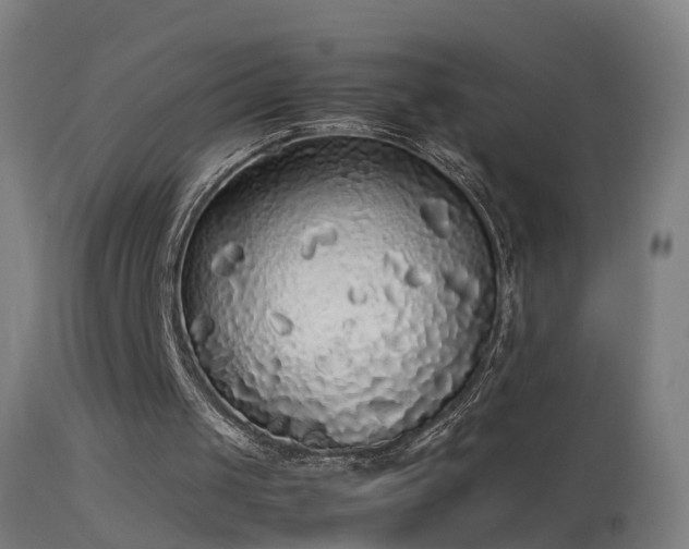 X0000114170049200910151646