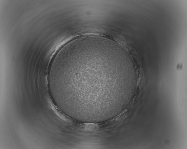 X0000114170050200910151646