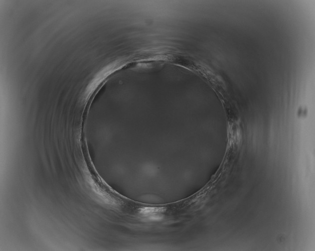 X0000114170051200910151646