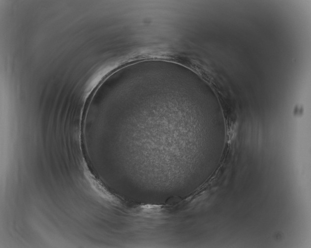 X0000114170052200910151646