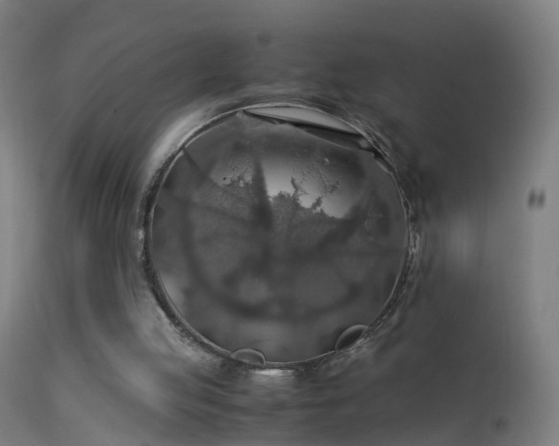 X0000114170053200910151646