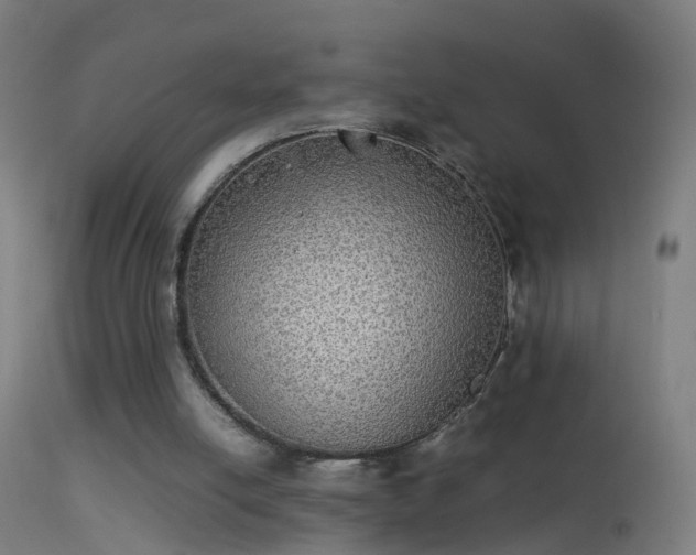 X0000114170054200910151646