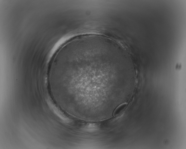 X0000114170056200910151646