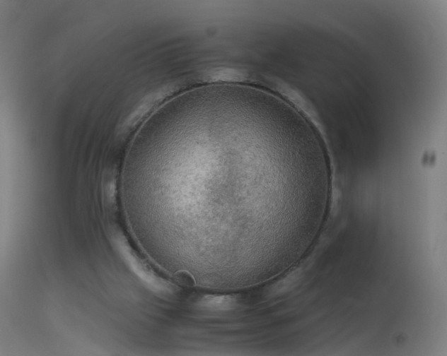 X0000114170057200910151646