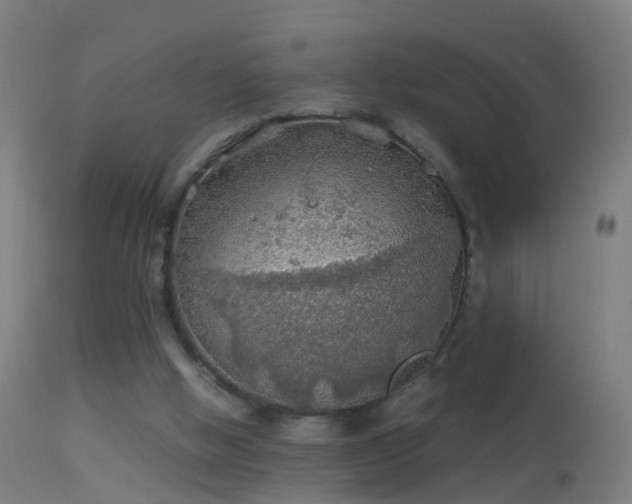 X0000114170058200910151646