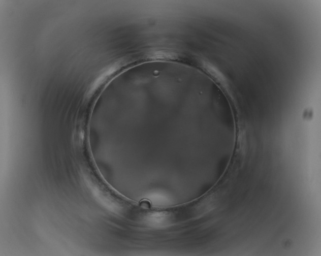 X0000114170059200910151646