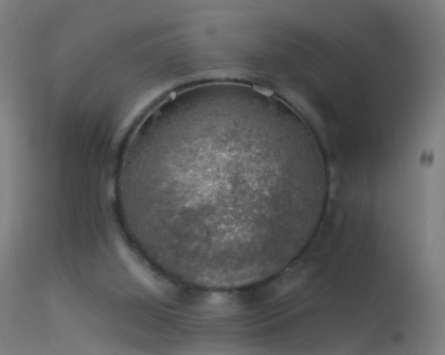 X0000114170060200910151646