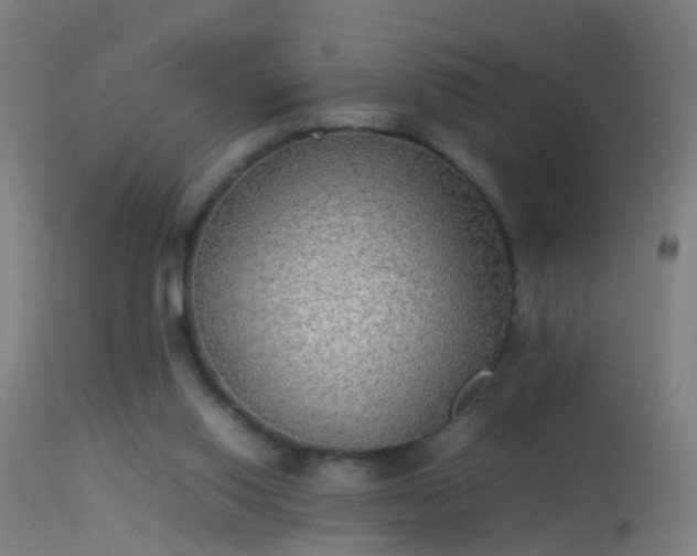 X0000114170062200910151646