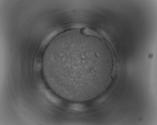 X0000114170063200910151646