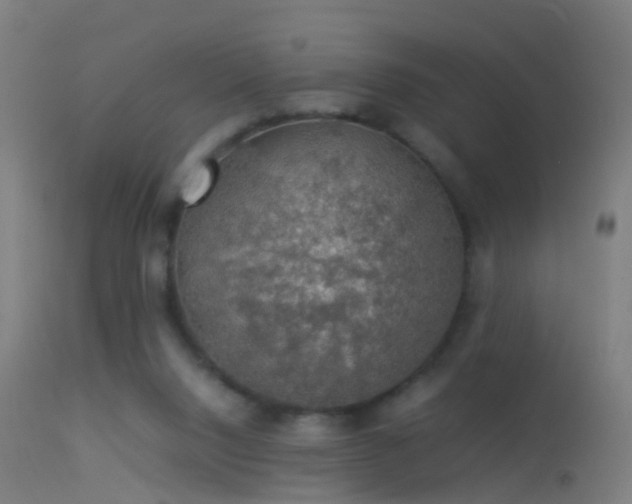 X0000114170064200910151647