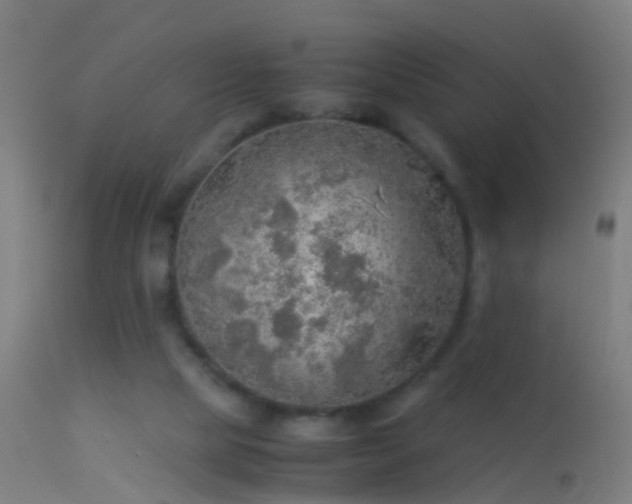 X0000114170065200910151647