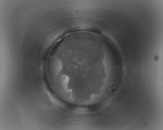 X0000114170066200910151647