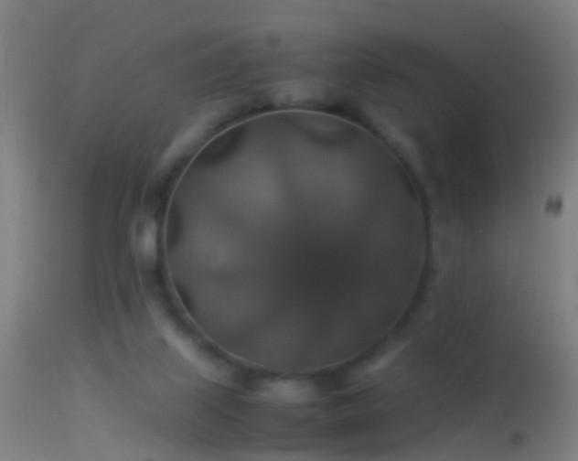 X0000114170067200910151647