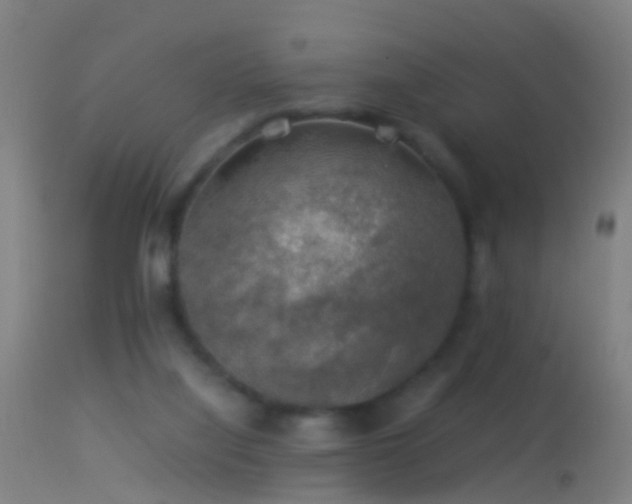 X0000114170068200910151647