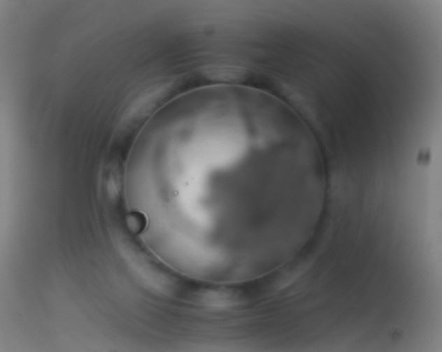 X0000114170069200910151647