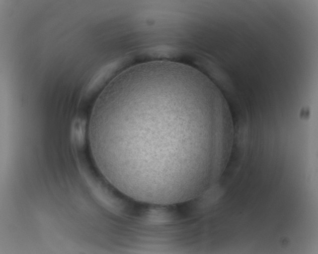 X0000114170070200910151647