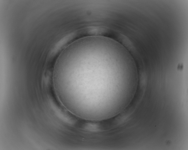 X0000114170071200910151647