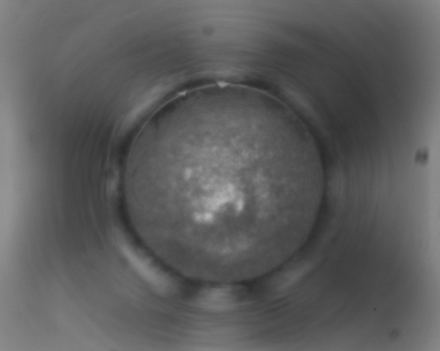 X0000114170072200910151647