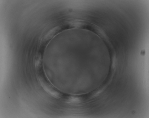 X0000114170073200910151647