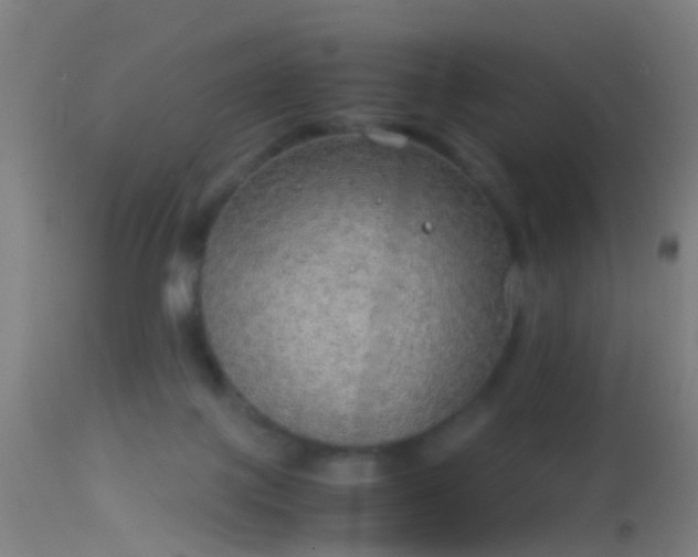 X0000114170075200910151647