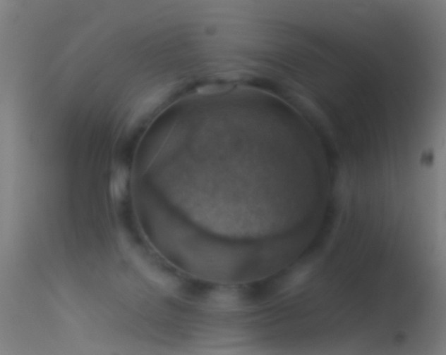 X0000114170076200910151647