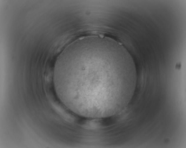 X0000114170078200910151647