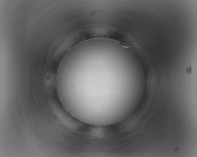 X0000114170079200910151647