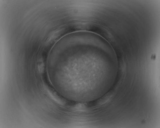 X0000114170080200910151647