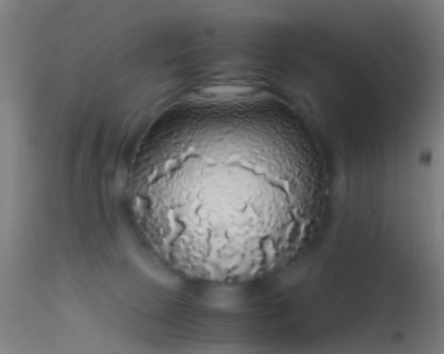 X0000114170081200910151647