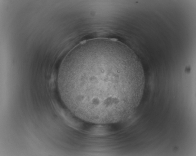 X0000114170082200910151647