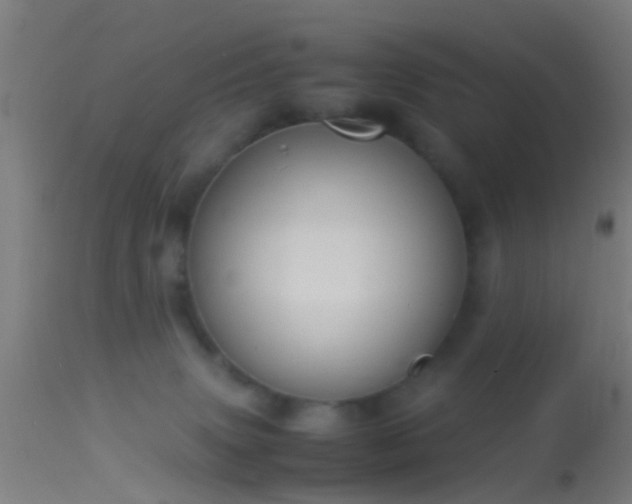 X0000114170083200910151647