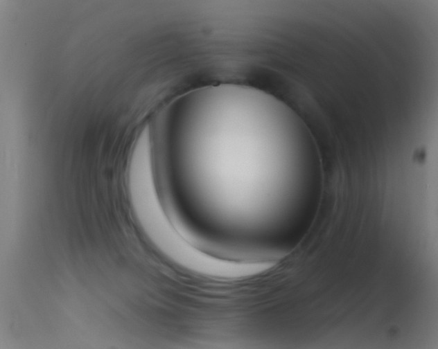 X0000114170084200910151647