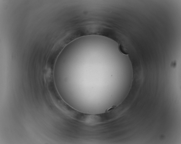 X0000114170087200910151647