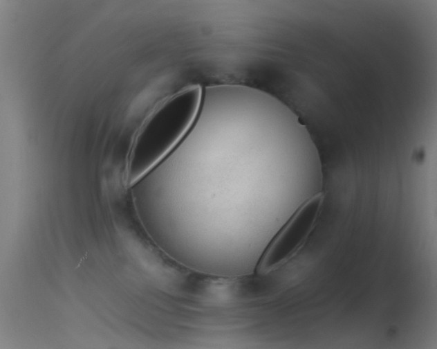 X0000114170088200910151647