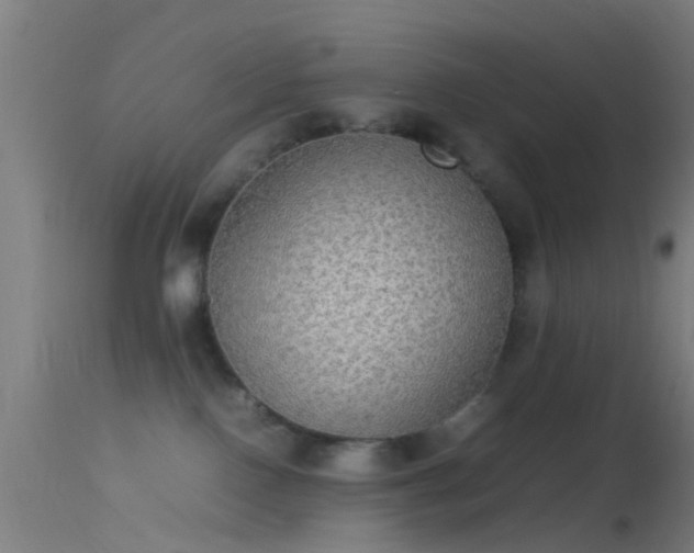 X0000114170090200910151647