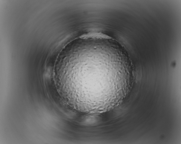 X0000114170093200910151647